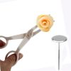 2pcs Piping Flower Scissors/Nail Kitchen Baking Pastry Tool Rose Decor Lifter Fondant Cake Decorating Tray Cream Transfer Set